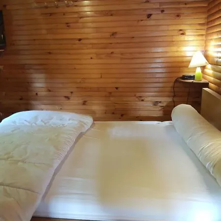 Maison Chambon-sur-lac, 5 Pièces, 8 Personnes - Fr-1-395-11 Hébergement de vacances