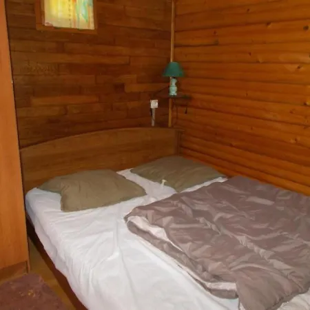 Maison Chambon-sur-lac, 5 Pièces, 8 Personnes - Fr-1-395-11 Chambon-sur-Lac